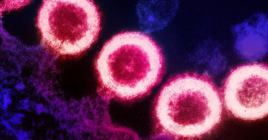 Thành công từ việc ghép tế bào gốc để chữa HIV, ung thư