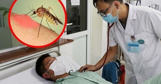 Khuyến cáo người dân không tự ý sử dụng thuốc khi nghi ngờ mắc sốt xuất huyết