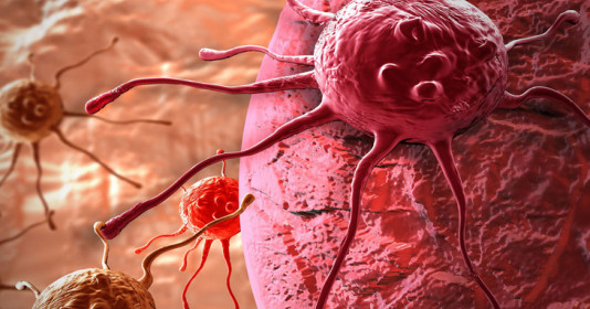 Phát hiện vi rút cổ đại lưu giữ trong DNA của con người từ cách đây hàng triệu năm