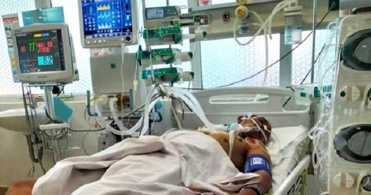 Ăn phải nấm độc, một người nguy kịch