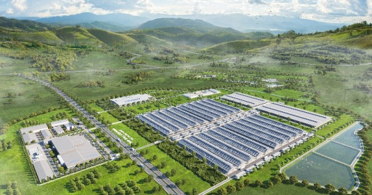 Đi tìm chất lượng lợi nhuận của công lớn ngành sữa