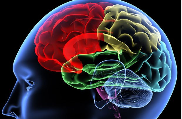 Viêm màng não do liên cầu khuẩn lợn