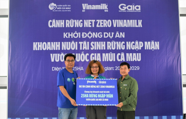 Cánh rừng net Zero Vinamilk “check-in” tại cực nam tổ quốc với dự án tái sinh 25 hecta rừng ngập mặn