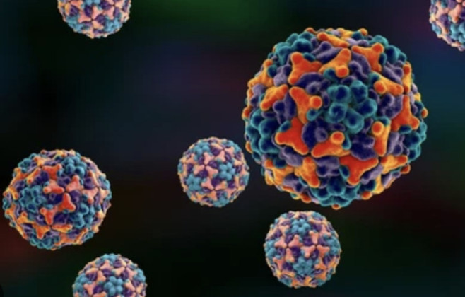 Coxsackievirus A24 là tác nhân chính gây ra viêm kết mạc mắt trong đợt bùng phát đau mắt đỏ tại TPHCM