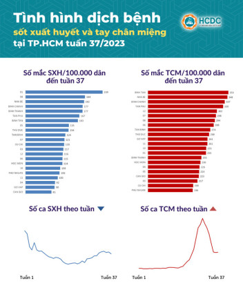 TP HCM ghi nhận 934 ca mắc bệnh tay chân miệng trong tuần 37