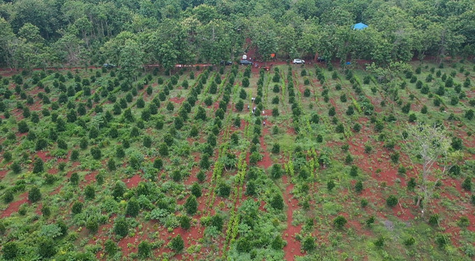 Chế biến sau thu hoạch và chủ động thị trường chính là đôi cánh của nông nghiệp công nghệ cao
