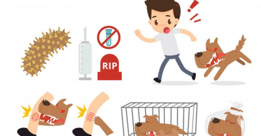 Hướng dẫn trẻ cách tự vệ khi bị chó tấn công