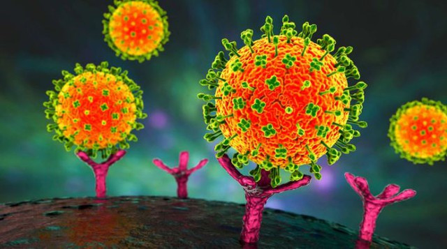 Chủ động công tác phòng, chống bệnh do virút Nipah trên địa bàn tỉnh Đắk Lắk