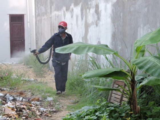 Đà Nẵng: Triển khai công tác phòng, chống dịch sốt xuất huyết