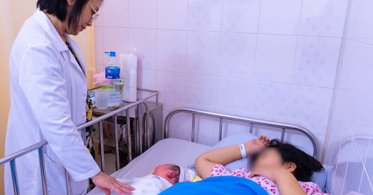 “Mèo vàng” khổng lồ nặng hơn 6kg chào đời ở TP. Hồ Chí Minh