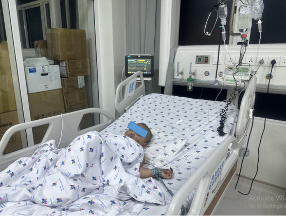 Bệnh viện Nhi đồng Thành phố cứu sống bé gái bị ong đốt suy đa cơ quan, suy hô hấp nặng