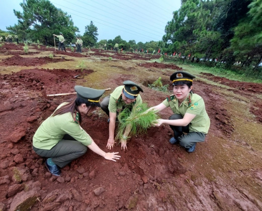 Gia Lai: Xây dựng “Cao nguyên xanh vì sức khỏe" tại TP. Pleiku