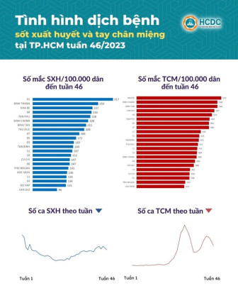 TP. Hồ Chí Minh: Số ca mắc tay chân miệng, sốt xuất huyết giảm