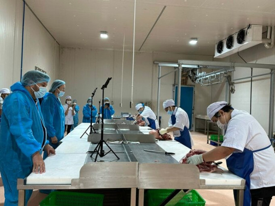 Công ty du học lao đao vì doanh nghiệp nước ngoài ký rồi hủy hợp đồng