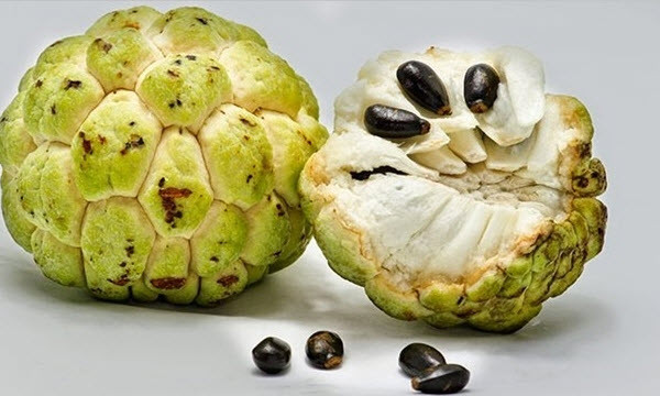 6 lợi ích của quả na