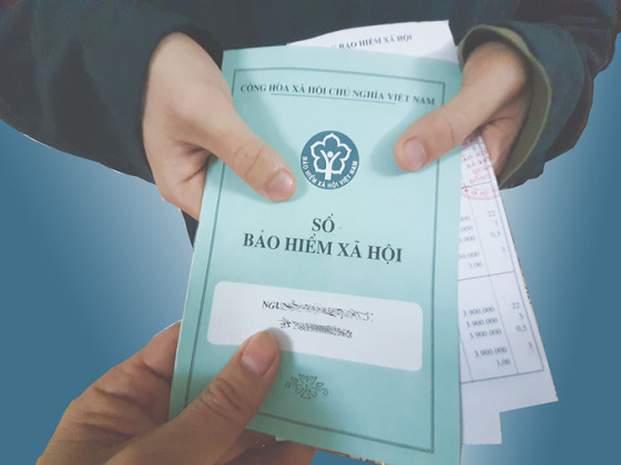 TP. HCM: Số người tham gia BHXH tăng 3,98% so với năm 2022
