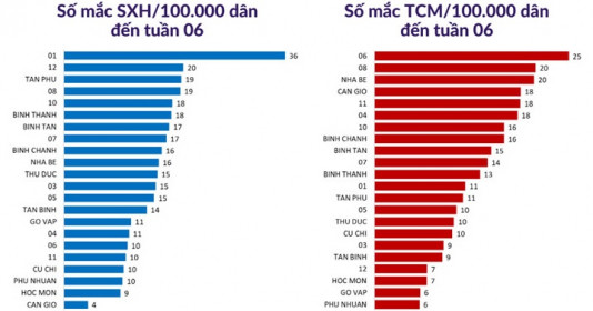Tình hình dịch bệnh sốt xuất huyết và tay chân miệng tại TP. HCM tính đến tuần 6 năm 2024