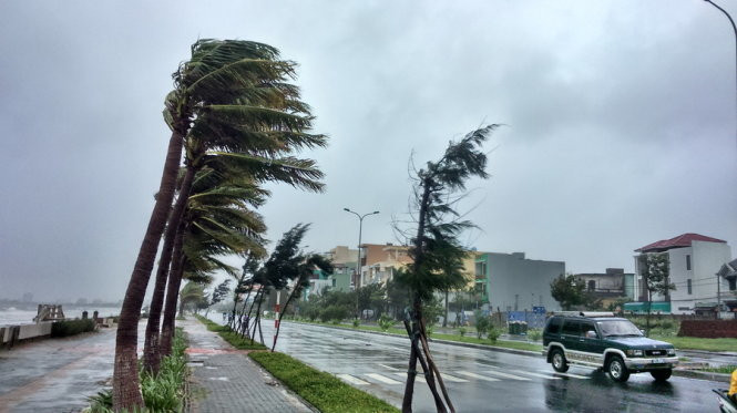 TP. Đà Nẵng: Nâng cao nhận thức, kỹ năng phòng ngừa và ứng phó với thiên tai, biến đổi khí hậu của thanh thiếu niên