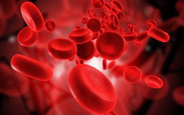 Đắk Lắk: Tăng cường truyền thông hưởng ứng Ngày Thalassemia Thế giới năm 2024