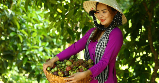 Bình Dương sẵn sàng cho lễ hội mùa trái chín năm 2024