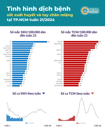 TP. HCM: Ghi nhận 581 trường hợp mắc bệnh tay chân miệng trong tuần 21 năm 2024