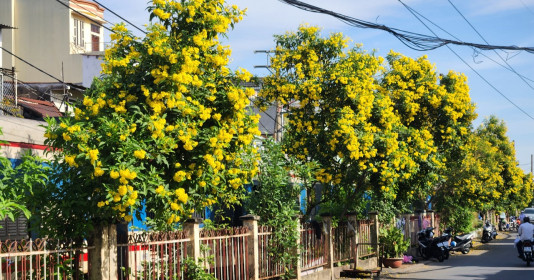 Phát động phong trào "Đường tàu - Đường hoa" khu vực Sài Gòn - Bình Dương