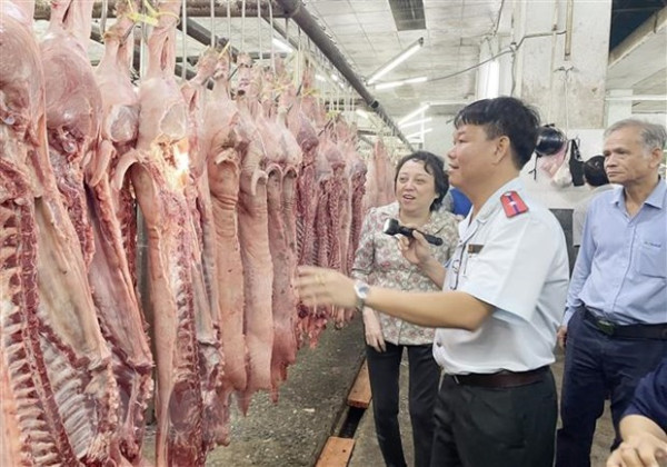 Sở An toàn thực phẩm TP. HCM thực hiện kiểm dịch 298 con heo và 1.172 kg thịt heo trong 6 tháng đầu năm 2024