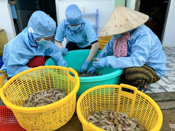 Sản phẩm OCOP tỉnh Cà Mau sẵn sàng vươn xa