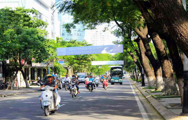 Ứng phó và khắc phục bão đối với cây xanh đô thị TP. Đà Nẵng năm 2024