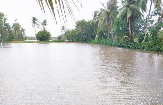 Cà Mau: Chủ động phòng chống, khắc phục hậu quả thiên tai