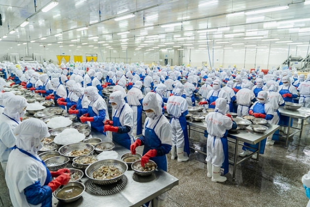 Đồng Tháp: Đảm bảo chất lượng, an toàn thực phẩm, gia tăng chế biến
