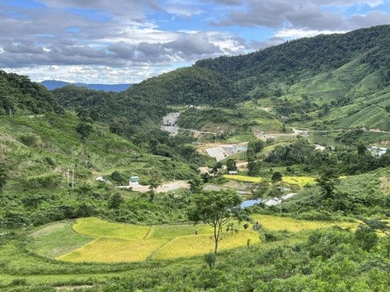 Gia Lai triển khai đề án phát triển giá trị đa dụng của hệ sinh thái rừng