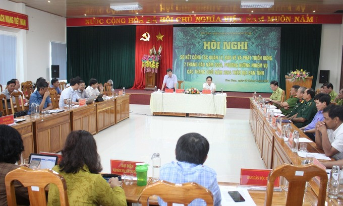 Kon Tum: Sơ kết công tác quản lý, bảo vệ và phát triển rừng trong 7 tháng đầu năm 2024