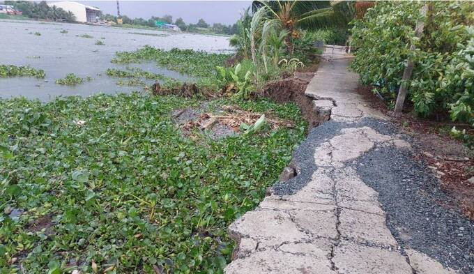 Long An: Thực hiện công tác phòng, chống sạt lở bờ sông, kênh, rạch