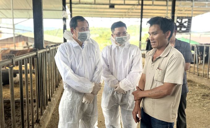 Lâm Đồng: Chỉ đạo khẩn trương triển khai các biện pháp phòng, chống bệnh tiêu chảy trên đàn bò sữa tại huyện Đơn Dương và Đức Trọng