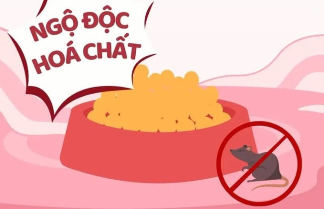 TP HCM: Nhiều trường hợp ngộ độc như thuốc diệt chuột, thuốc trừ sâu,... đặc biệt là trẻ nhỏ dưới 6 tuổi chiếm đa số