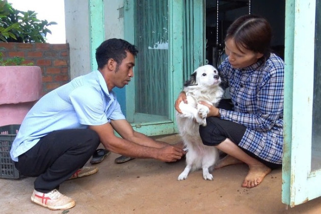 Gia Lai: Huyện Chư Prông chủ động phòng chống bệnh dại