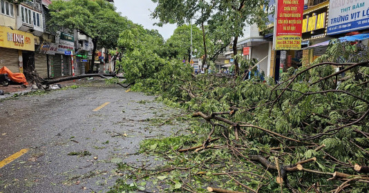 Hà Nội: Đường phố ngổn ngang cây cối bật gốc, gãy đổ sau bão Yagi