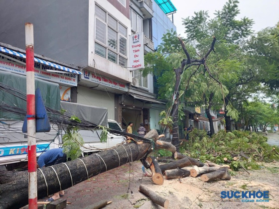 Hà Nội yêu cầu tập trung xử lý giao thông, cấp điện, tiêu nước sau bão
