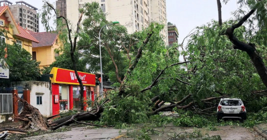 TP. HCM: Hỗ trợ các địa phương phía Bắc khắc phục hậu quả cơn bão số 3