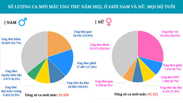 Tầm soát, phát hiện sớm một số loại ung thư thông qua khám sức khỏe người cao tuổi
