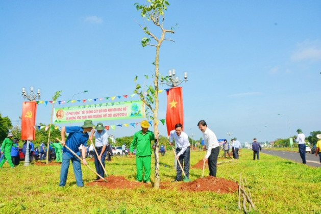 Đắk Lắk: TP. Buôn Ma Thuột sẽ triển khai trồng hơn 5.000 cây xanh đô thị