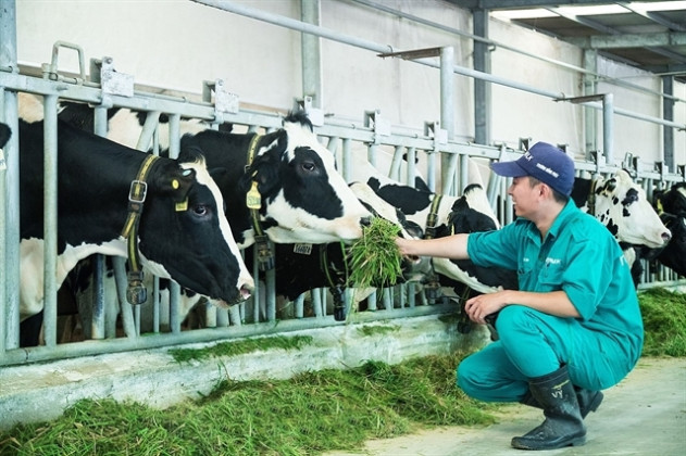TP. HCM: Phát triển công nghiệp chuồng trại và xử lý chất thải đến năm 2030