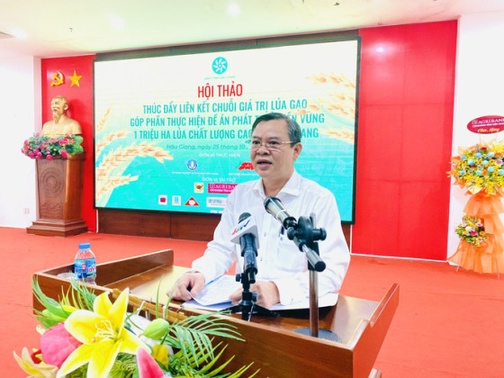 Hậu Giang: Thúc đẩy liên kết chuỗi giá trị lúa gạo