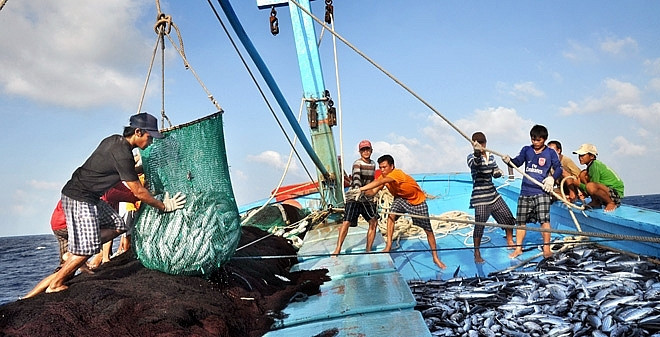 Xử lý dứt điểm tàu cá "3 không", quyết tâm gỡ cảnh báo "Thẻ vàng" tại đợt thanh tra lần thứ 5 của EC