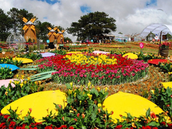 Lâm Đồng: Đảm bảo an toàn thực phẩm phục vụ Festival Hoa Đà Lạt lần thứ X năm 2024 và Tết Dương lịch năm 2025