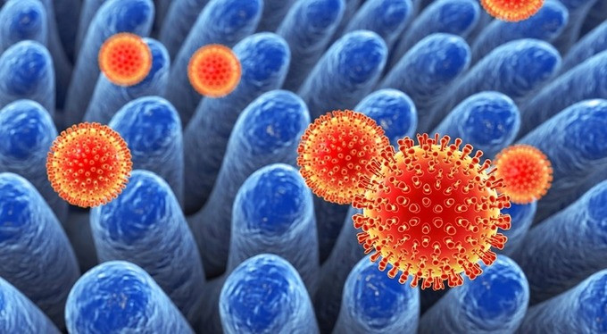Tiêu chảy cấp do Rotavirus
