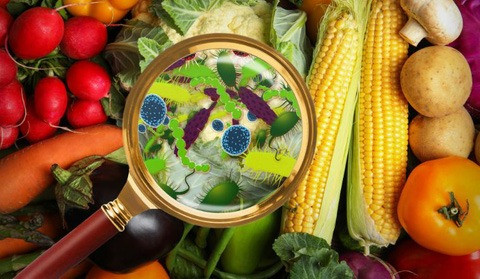 Mở rộng thanh tra, kiểm tra các cơ sở kinh doanh thực phẩm trên địa bàn tỉnh Bà Rịa – Vũng Tàu