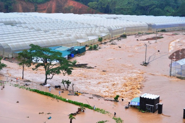 Lâm Đồng: Chủ động ứng phó với thiên tai, mưa lũ tháng cuối năm 2024 và đầu năm 2025