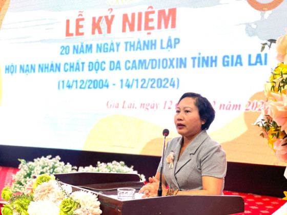 Kỷ niệm 20 năm Ngày thành lập Hội Nạn nhân chất độc da cam/dioxin tỉnh Gia Lai